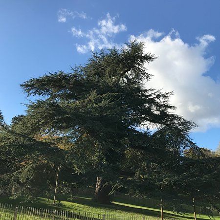 Le Château et Parc Madame de Graffigny